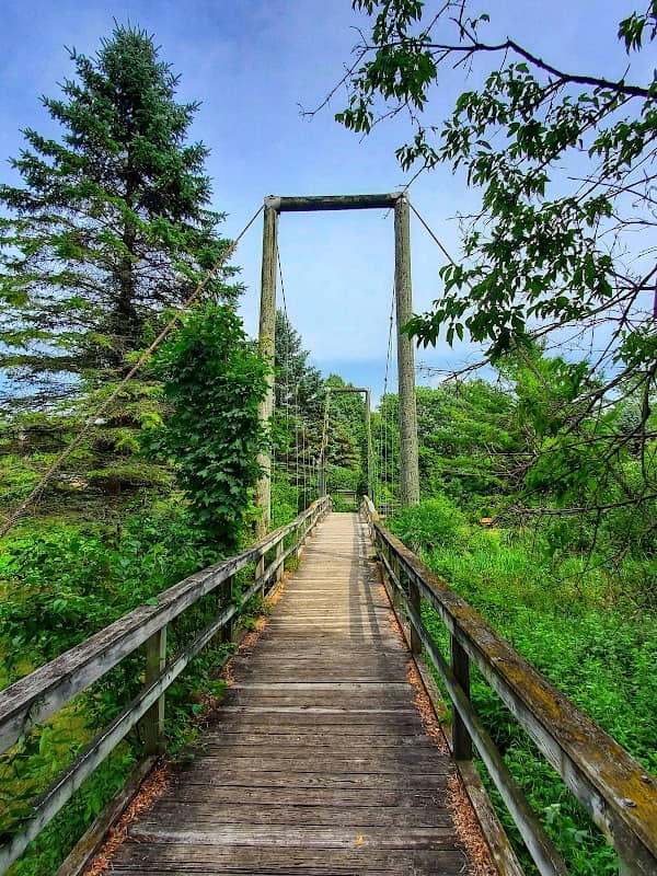 Little Mac Replica Bridge - Image 1