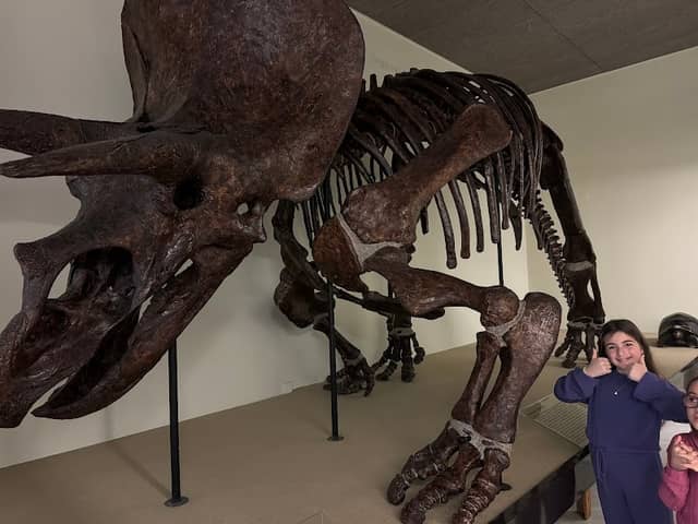 National Museum of Natural History Goulandris - Image 1