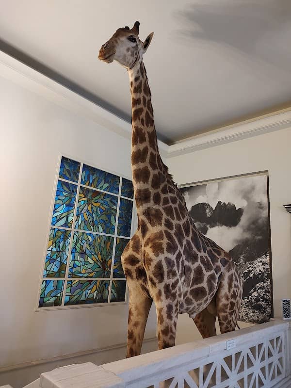 National Museum of Natural History Goulandris - Image 3
