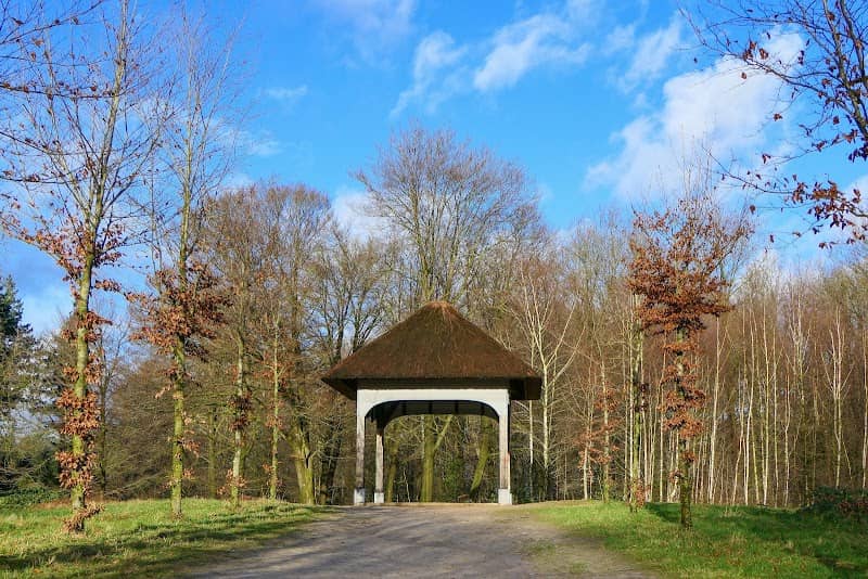 Prieel Schaffelaarse bos - Image 1