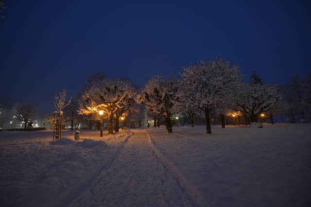Paracelsuspark - Image 2