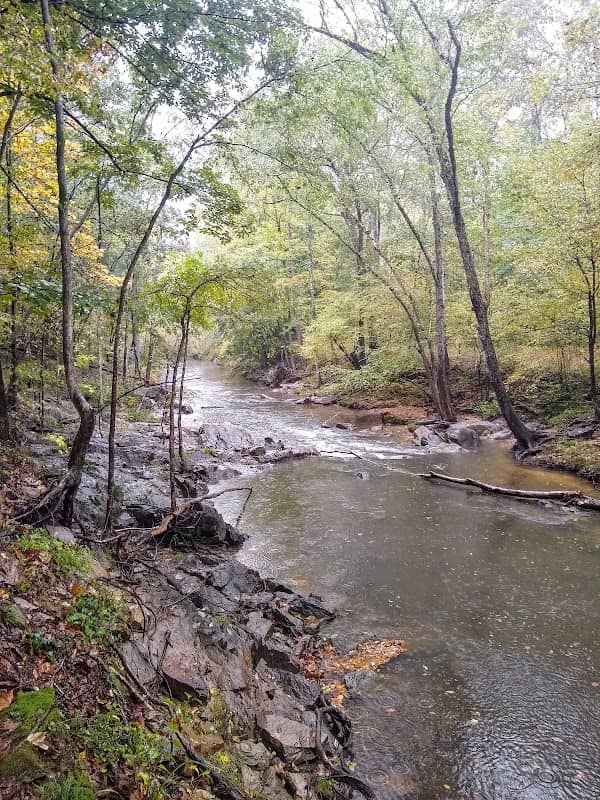 Morgan Creek - Image 1