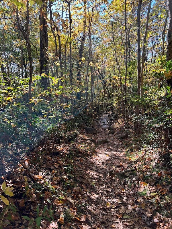 Marys Rock Summit Trailhead - Image 2