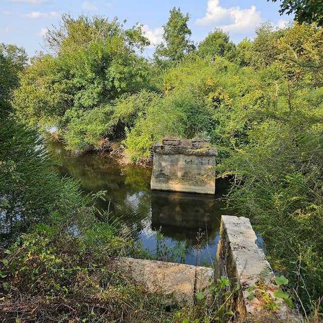 Disney Lake - Image 1