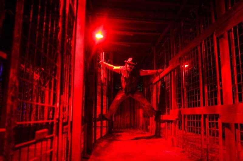 Texas Maze Of Terror - Image 2