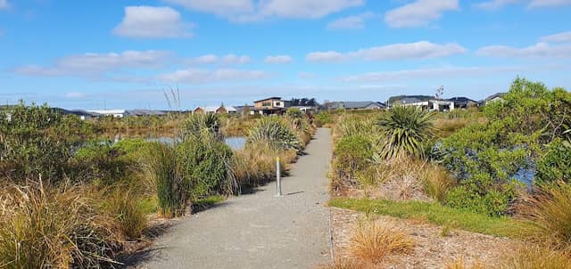 Te Whariki wetland #4 - Image 2
