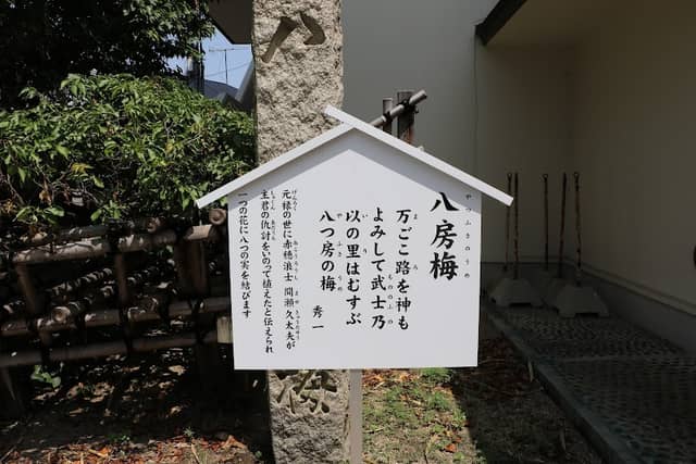八房梅 - Image 1