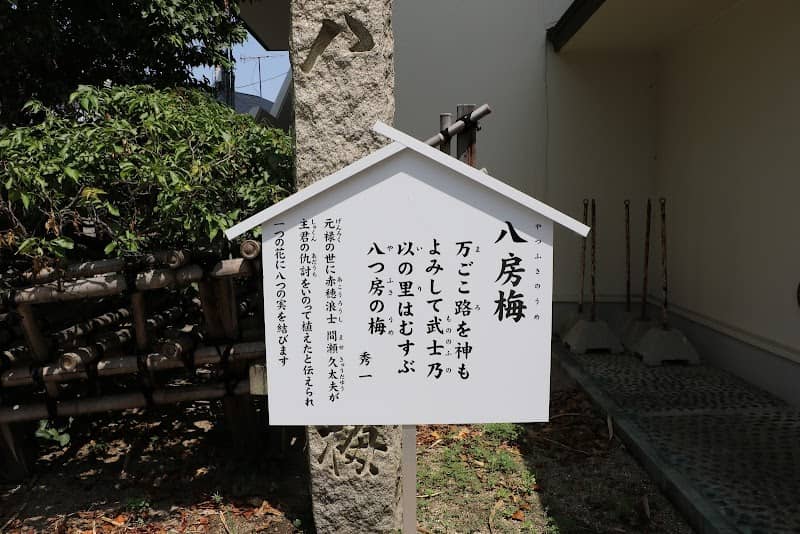 八房梅 - Image 1