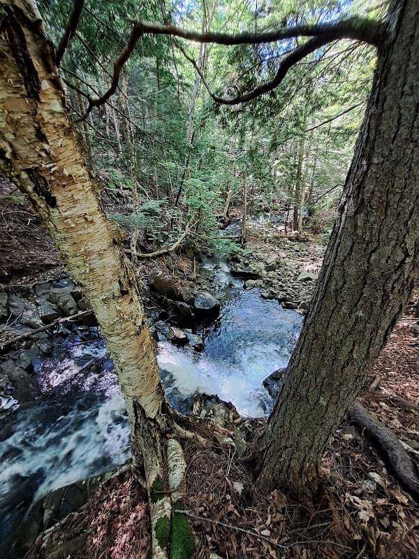Meekin Brook Falls - Image 2