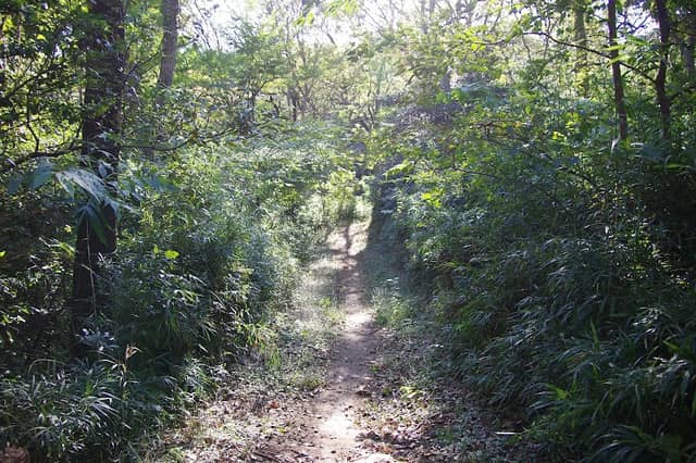 Hirayamajoshi Park - Image 2