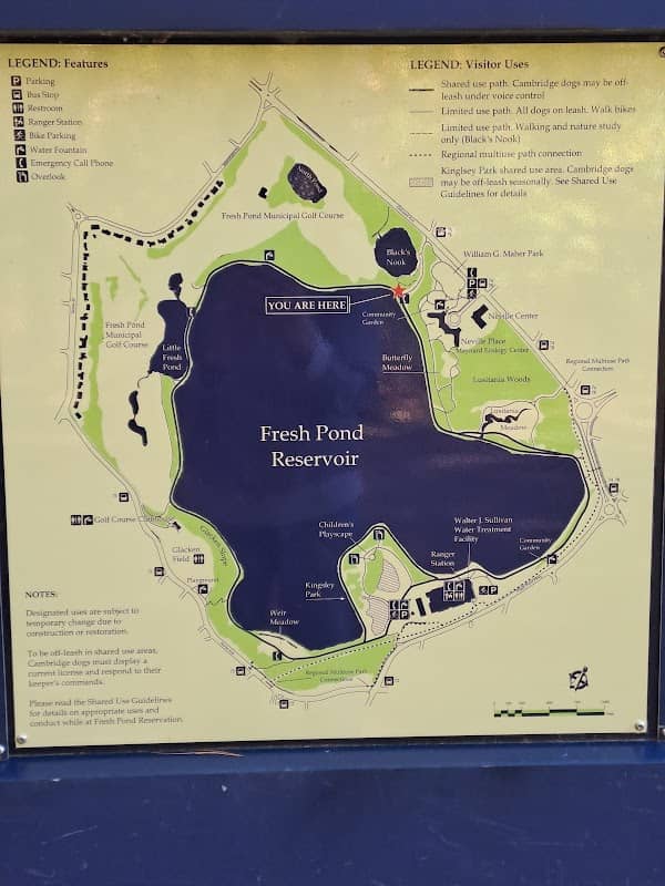 Fresh Pond Reservation - Image 1