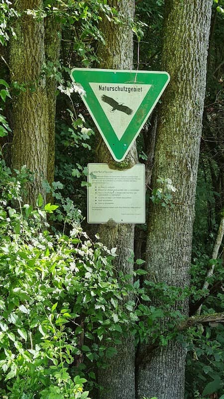 Weinberg im Hergstbachtal - Image 1
