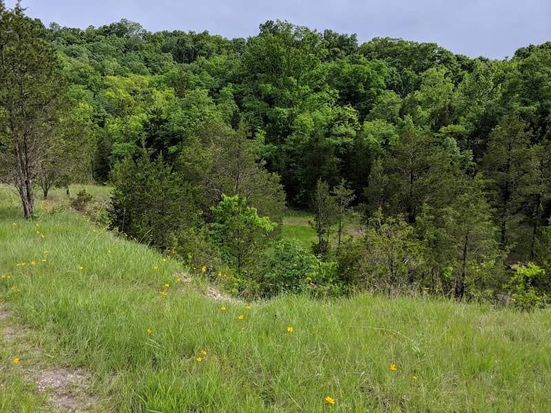 Ludwig Nature Area - Image 1