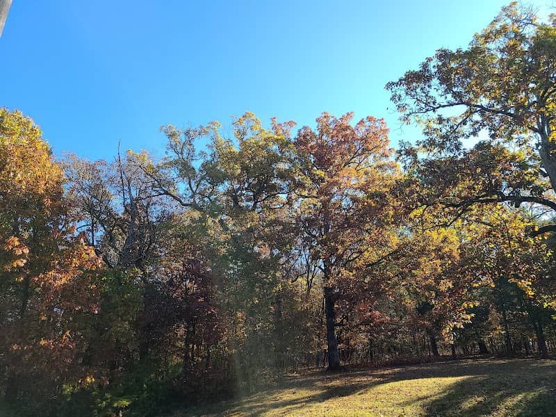 Ludwig Nature Area - Image 2