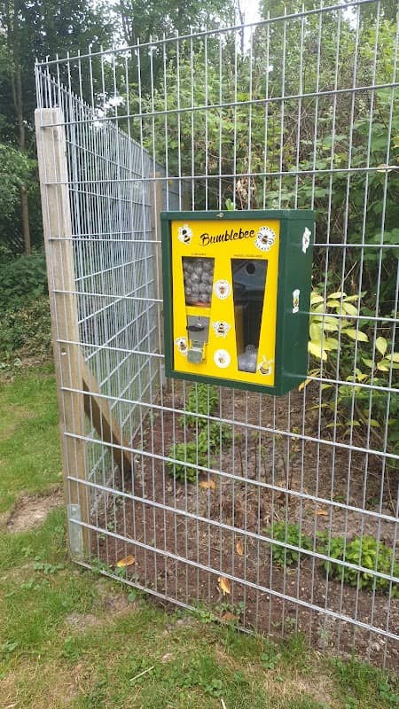 Bienenschaukasten - Image 1