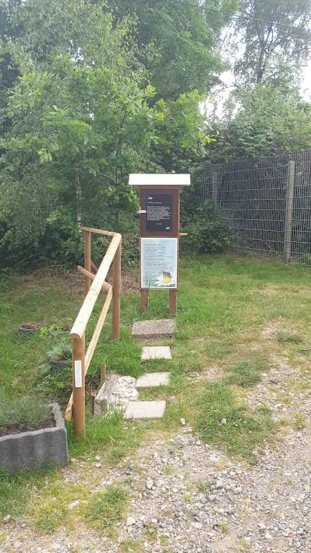 Bienenschaukasten - Image 2