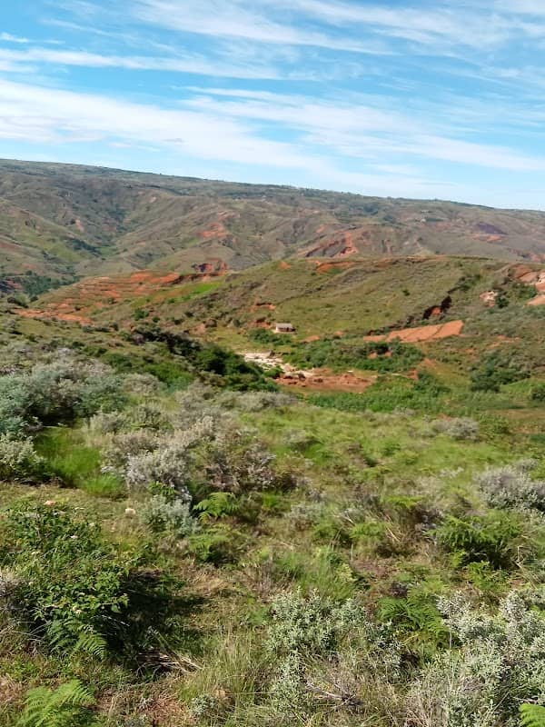 RANOMAFANA MIANDRARIVO - Image 1