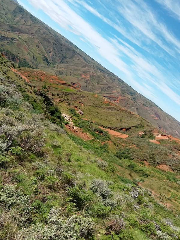 RANOMAFANA MIANDRARIVO - Image 2