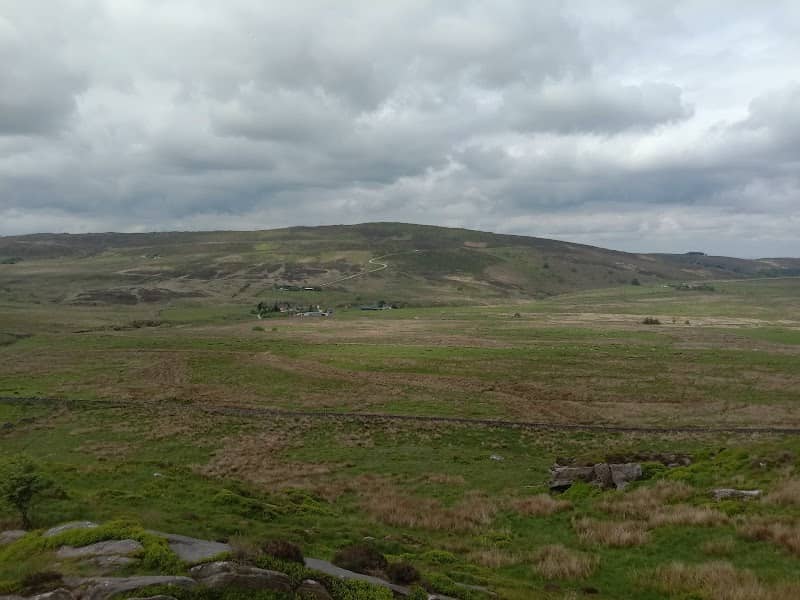 Black Brook Nature Reserve - Image 1