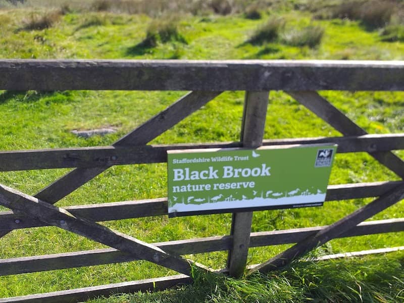 Black Brook Nature Reserve - Image 2