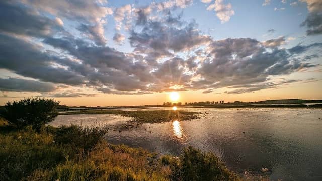 Pointe Mouillee State Game Area - Image 2