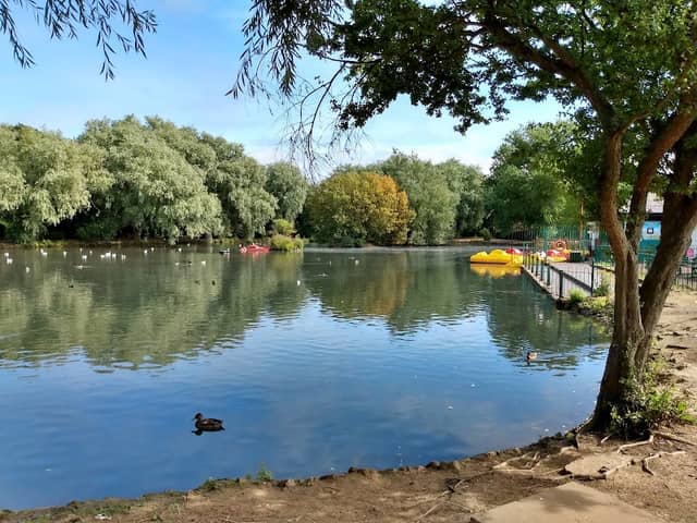 Locke Park - Image 2