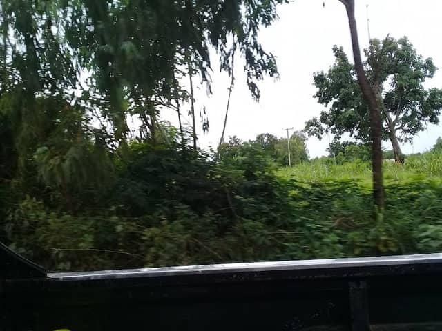 Manchakhiri Forest Park - Image 2