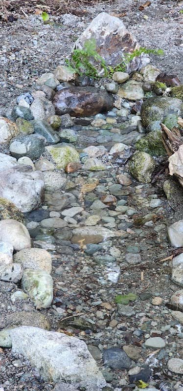 Spring Beach natural spring - Image 2