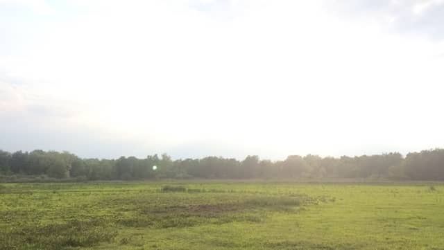 Auburn Marsh Wildlife Area - Image 1