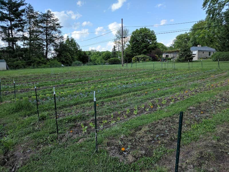 Second Presbyterian Church Community Garden - Image 1