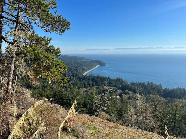 Priest Cabin Park - Image 1
