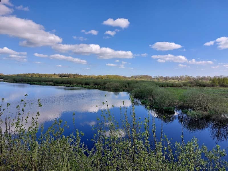 Sellstedter See und Ochsentriftmoor - Image 1
