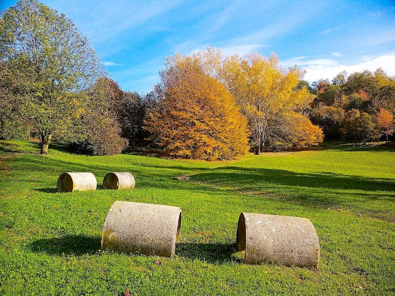 Parco Robinson - Image 1