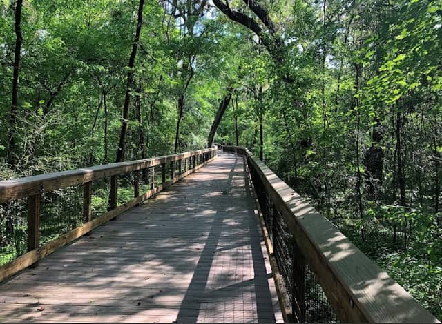Loblolly Woods Nature Park - Image 2