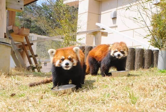 Fukuchiyama City Zoo - Image 1