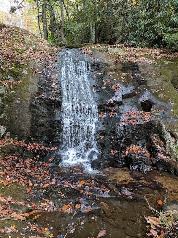 Waterfalls Park - Image 1