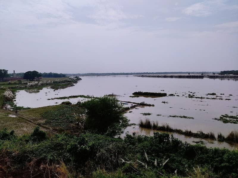 River Hooghly View Point - Image 2