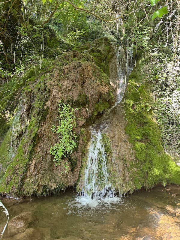 Leixlip Waterfall - Image 1