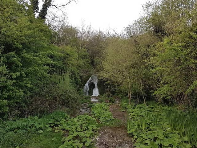 Leixlip Waterfall - Image 2