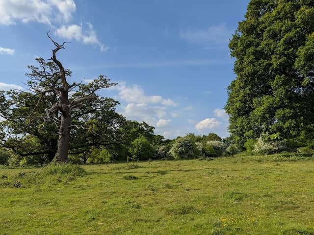 Danesbury Park - Image 2