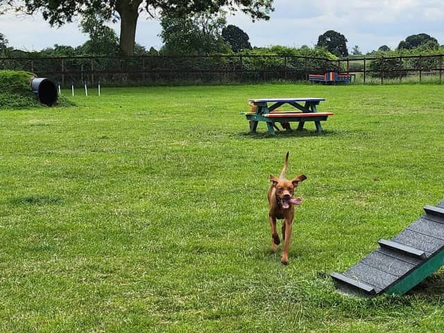 Wolvey Dog Walking Field- Cottage Farm - Image 2