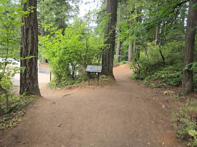 Lecamas park trail upper falls fork - Image 1