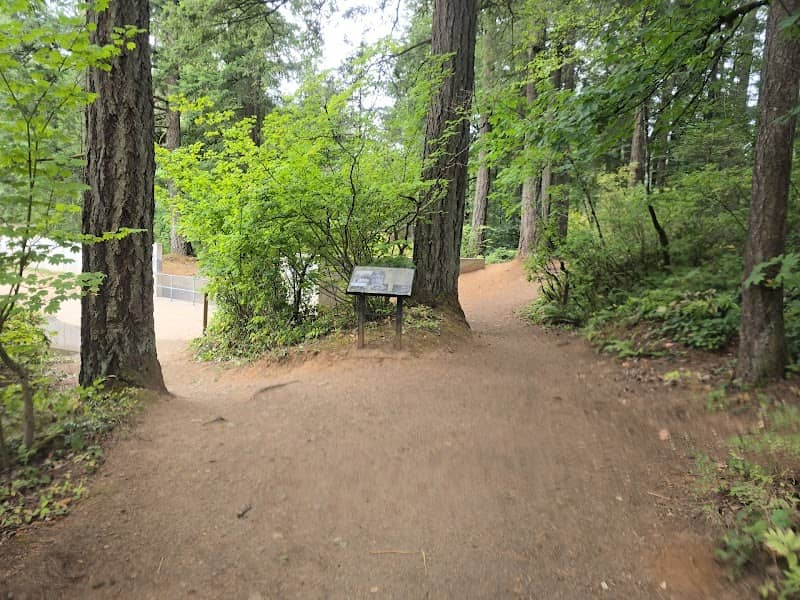 Lecamas park trail upper falls fork - Image 1
