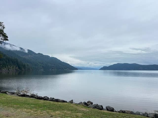 Christmas Lights by the Lake - Image 1