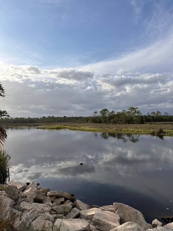 Big Bend Wildlife Management Area - Tide Swamp Unit - Image 3