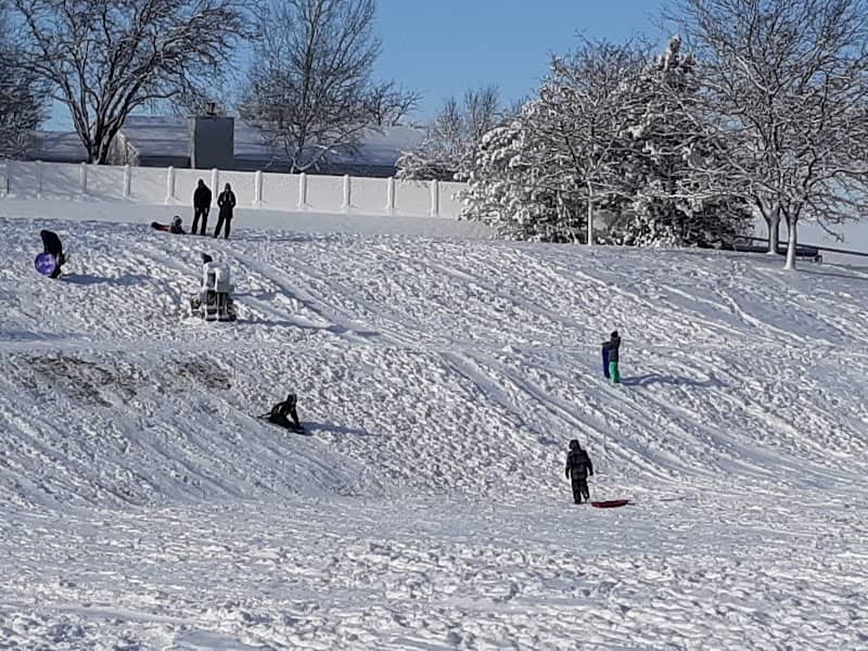 Aspen Meadows Park (The Fish Park) - Image 2