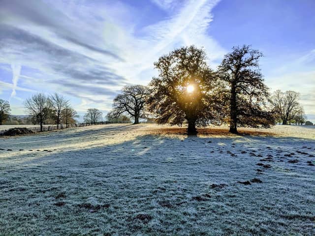 Penshurst Place Parkland - Image 2