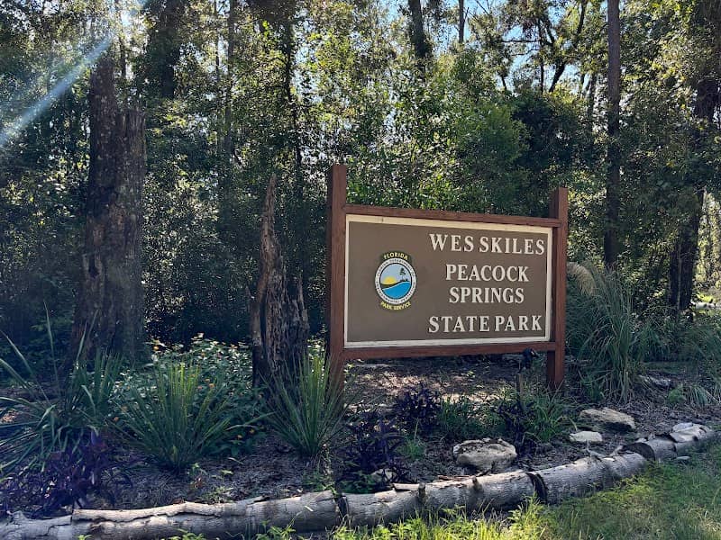 Wes Skiles Peacock Springs State Park - Image 2