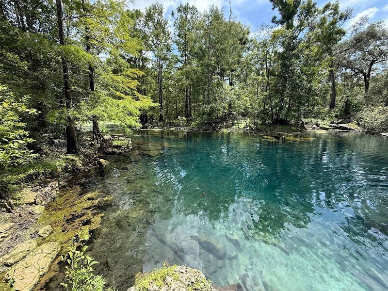 Wes Skiles Peacock Springs State Park - Image 1