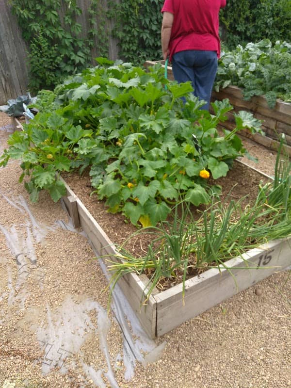 Fort Lupton Community Garden - Image 1
